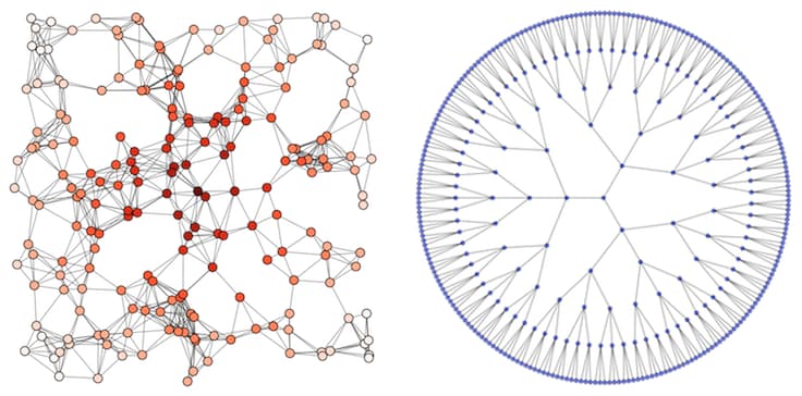 Network Graphs: undirected cyclic and acyclic graphs